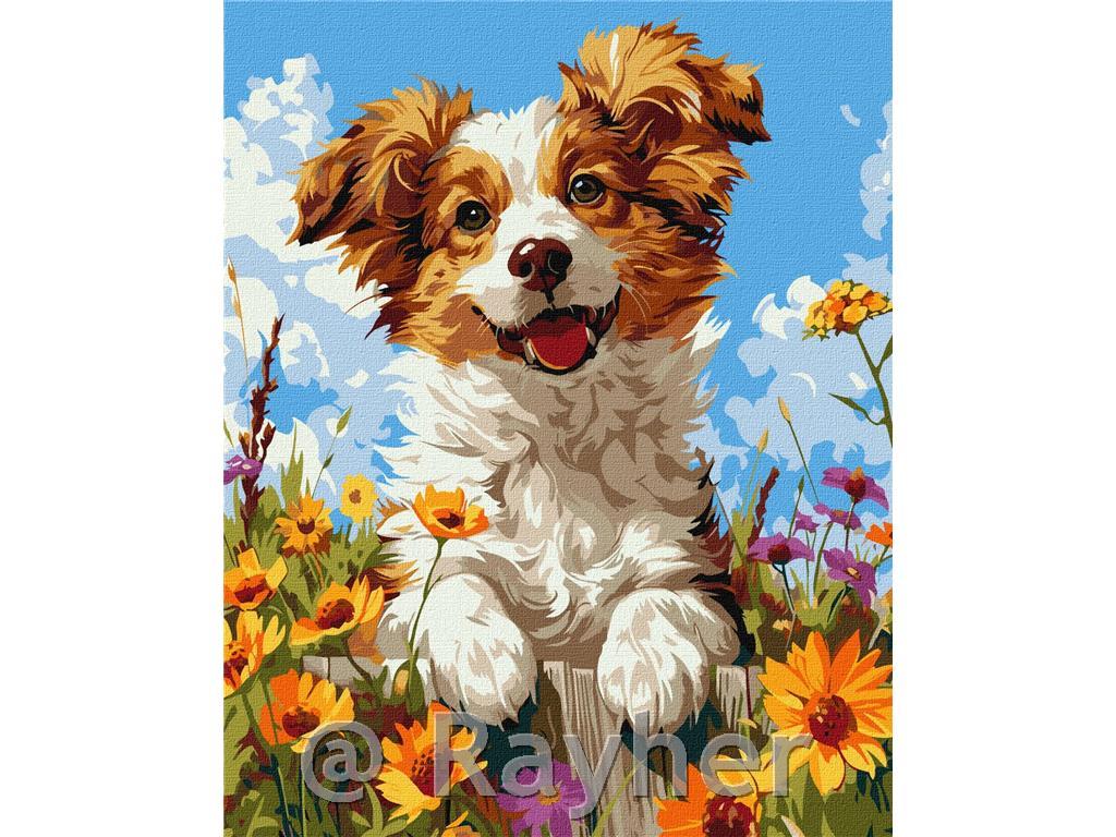 Slikanje po brojevima, A dog in flowers,40x50 cm