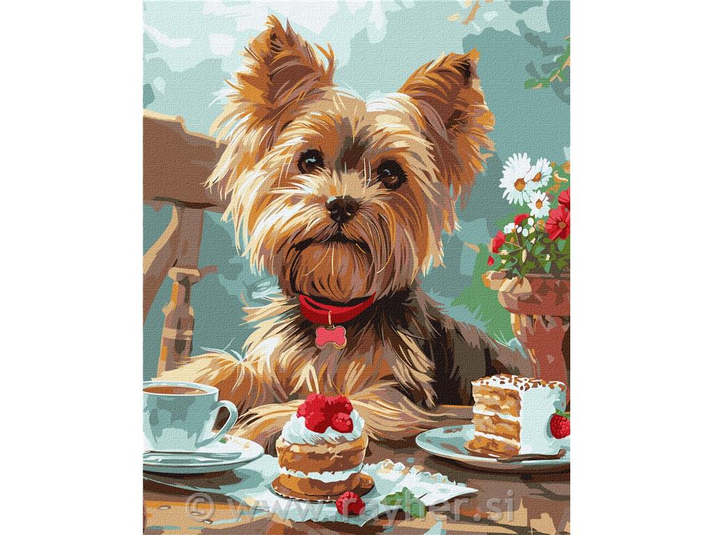 Slikanje po brojevima,Yorkie's tea party, 40x50 cm