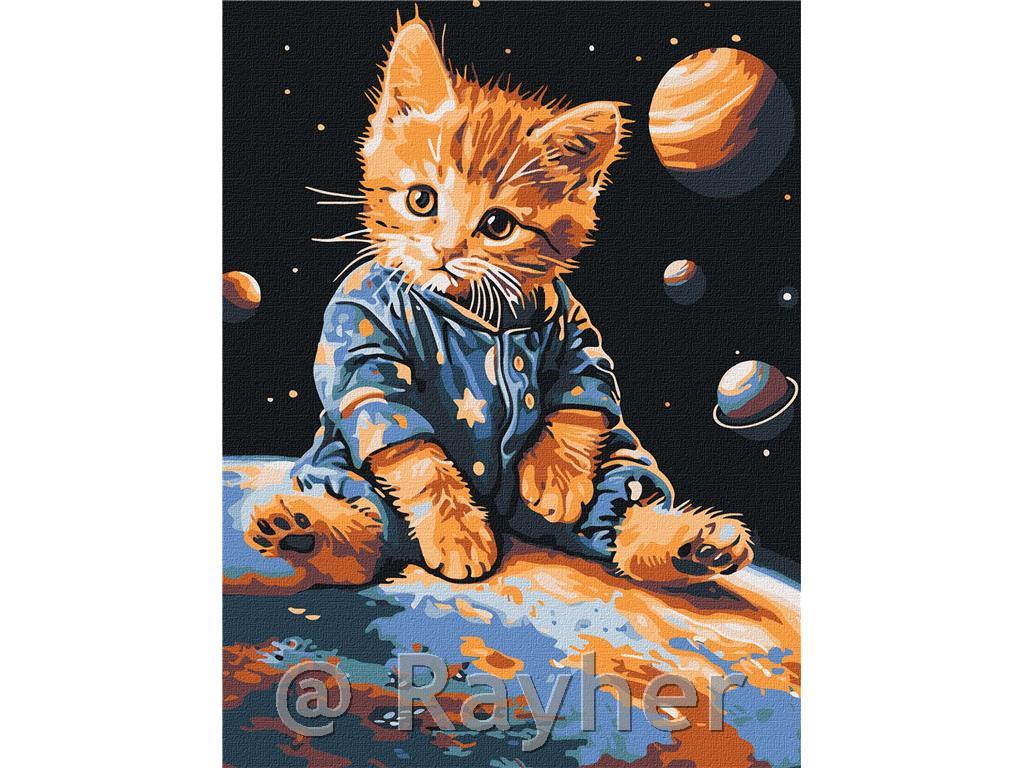 Slikanje po brojevima, Star kitten, 30x40 cm