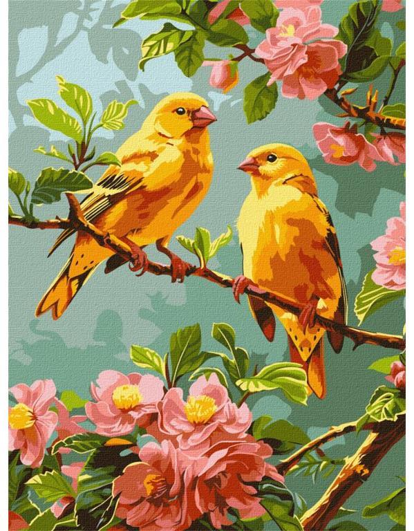 Slikanje po brojevima, Spring canaries,30x40 cm
