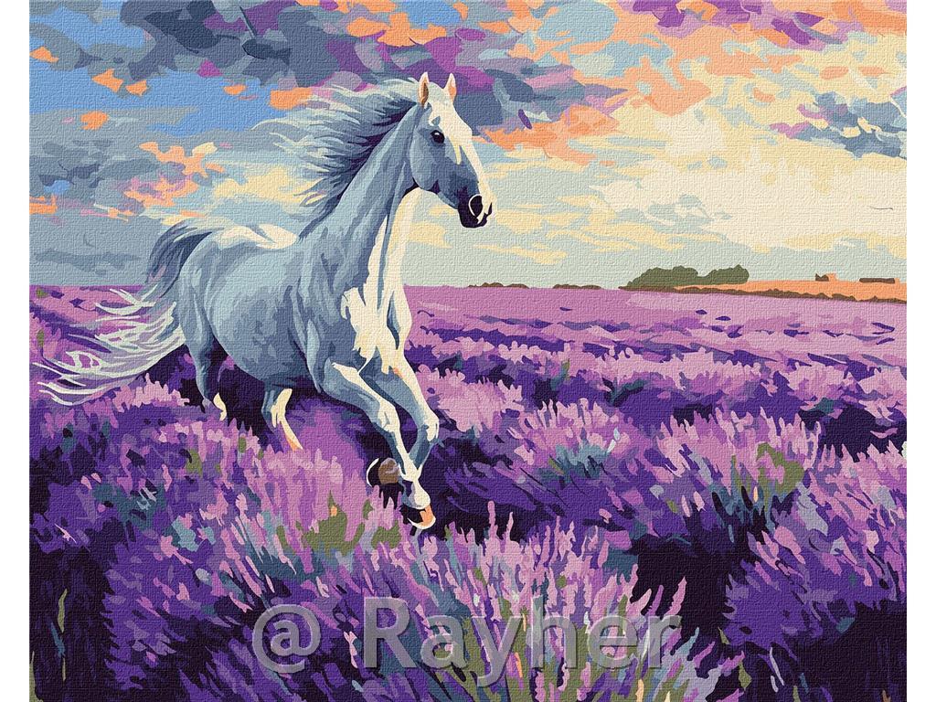 Slikanje po brojevima, In the lavender fields, 40x50 cm