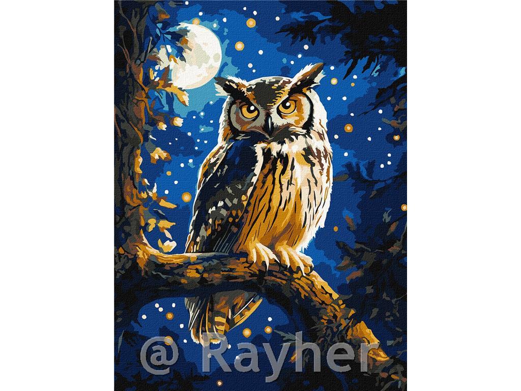 Slikanje po brojevima, Night owl, s metalnim bojama, 30x40 cm