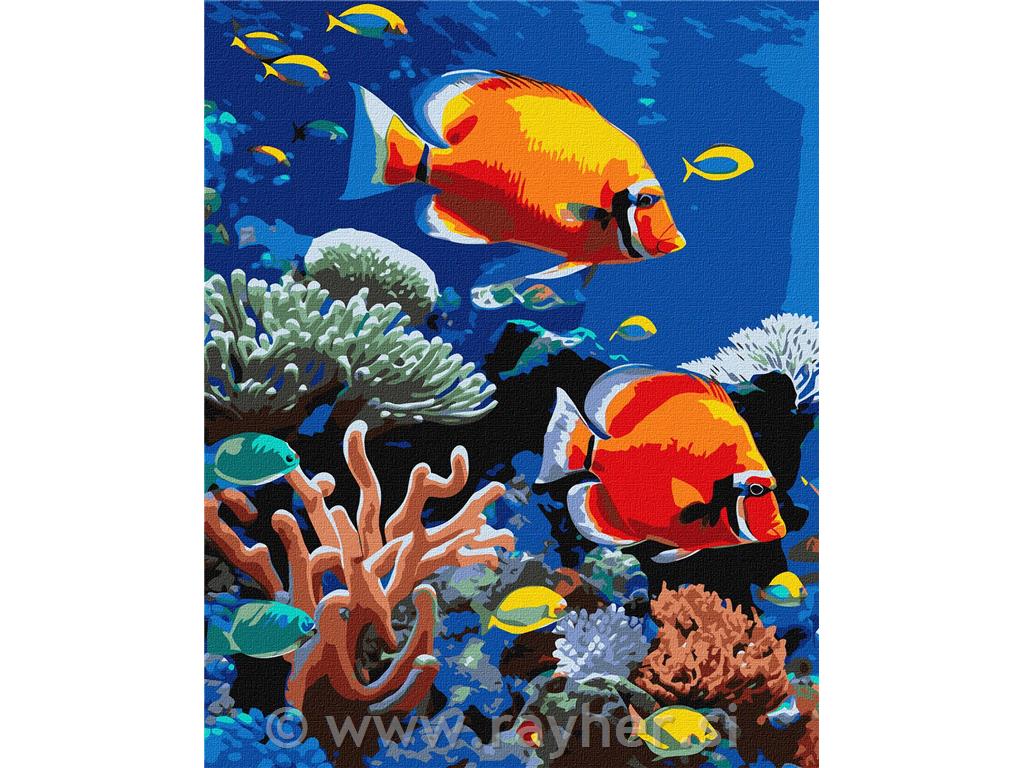 Slikanje po brojevima, A bright reef, 40x50 cm