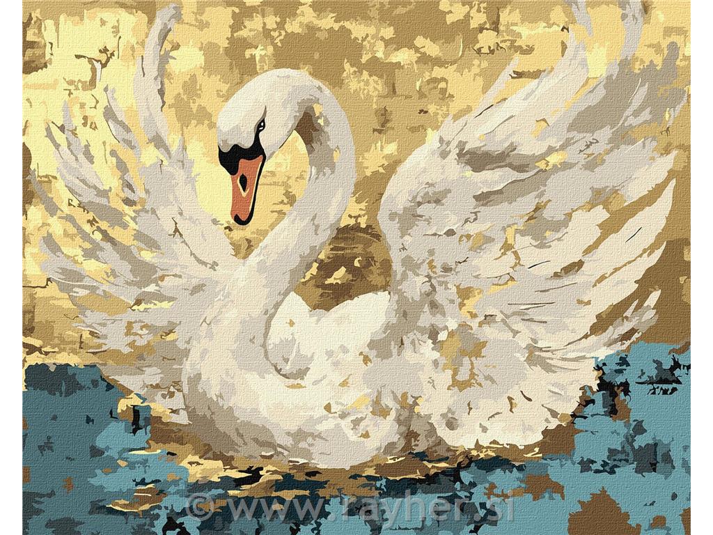 Slikanje po brojevima, Wingspan, 40x50 cm