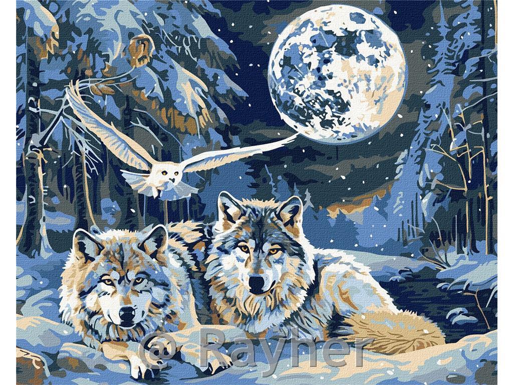 Slikanje po brojevima, Predators and Wisdom, s metalnim bojama, 40x50 cm