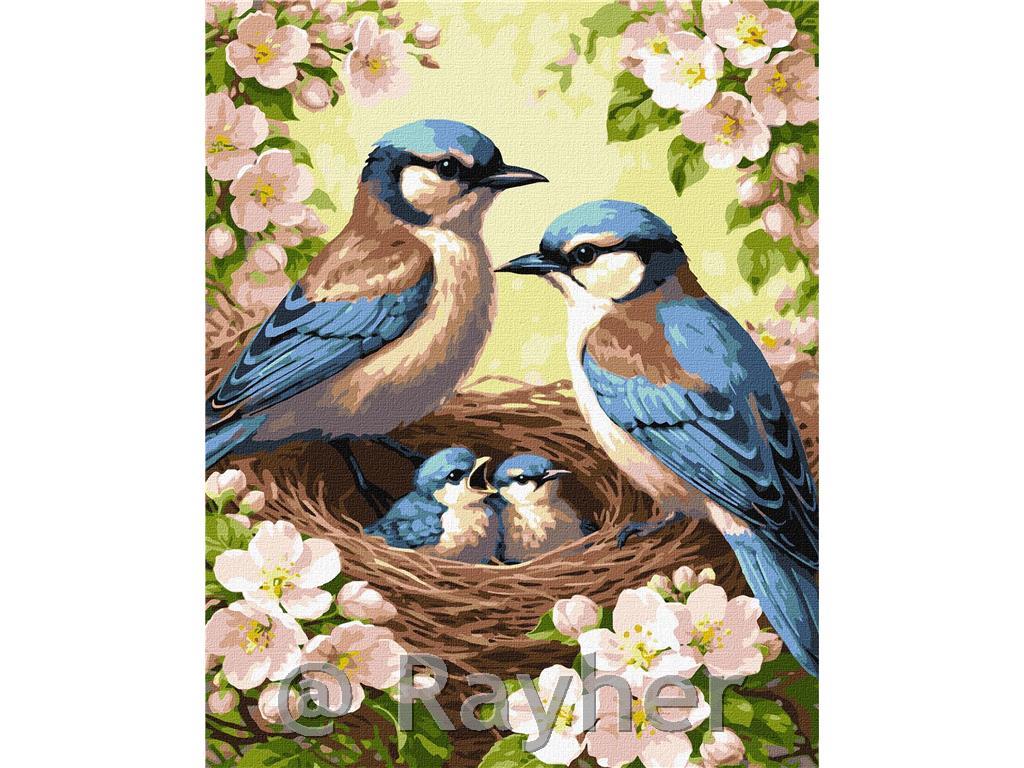Slikanje po brojevima, Tit Family in Blossom, 40x50 cm