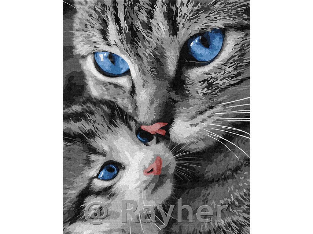 Slikanje po brojevima, Purring mum, 40x50 cm