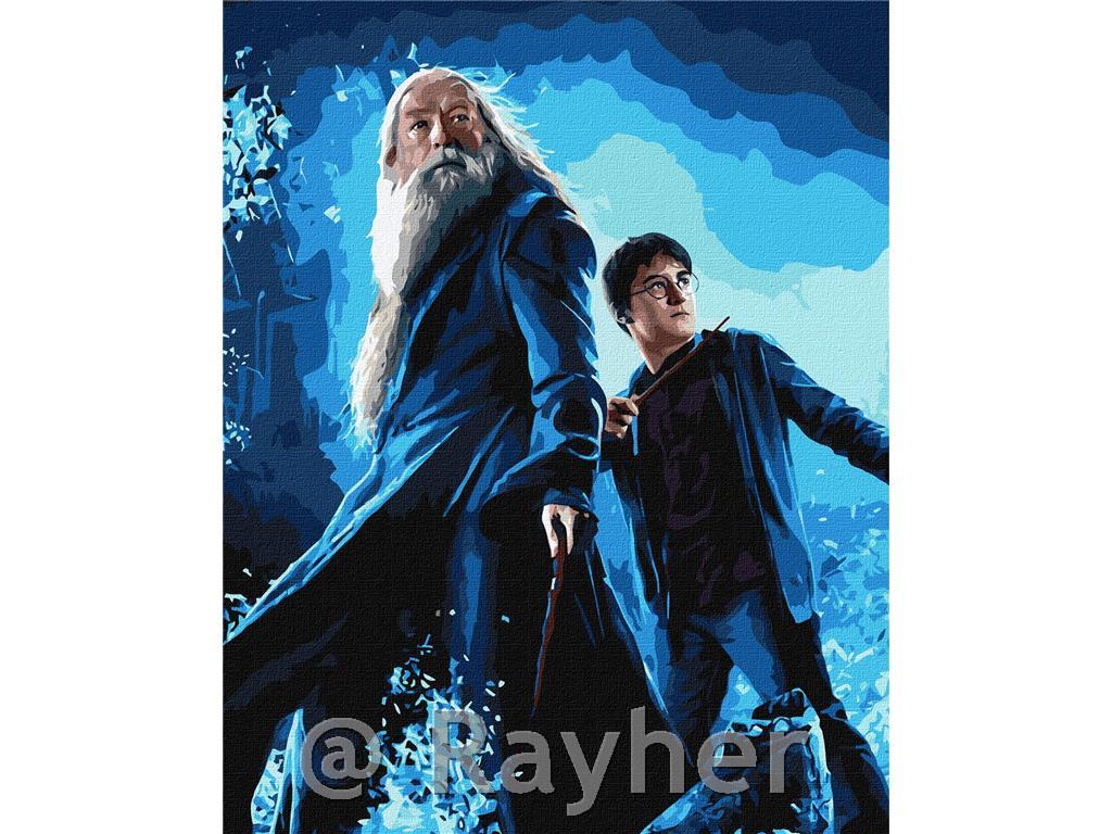 Painting by Numbers, Harry Potter: Harryand Dumbledore, with metallic paint, 40x50 cm