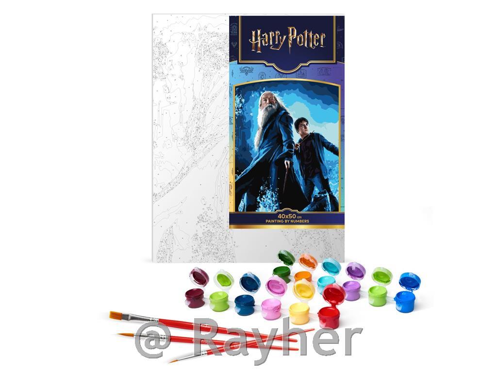 Slikanje po brojevima, Harry Potter: Harry and Dumbledore, s metalnim bojama,40x50 cm
