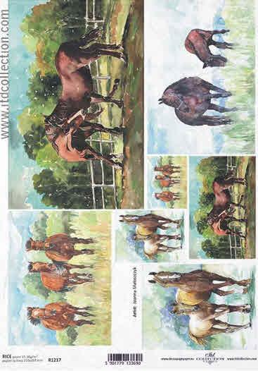 DECOUPAGE PAPIR RIŽIN A4, KONJI