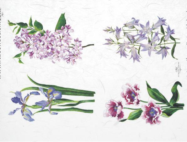 DECOUPAGE PAPIR RIŽIN A4, TULIPAN, JURGOVAN