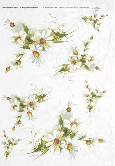 DECOUPAGE PAPIR RIŽIN A4, TRATINČICE