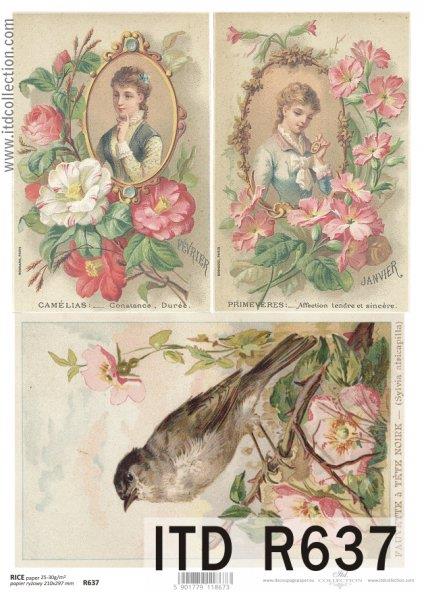 DECOUPAGE PAPIR RIŽIN A4, KAMELIJE,...