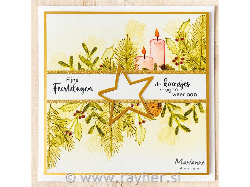 Clear Stamp: Misteltoe