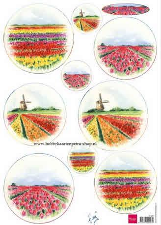 Decoupage slike, Polja tulipana 1