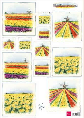 Decoupage slike, Polja tulipana 2
