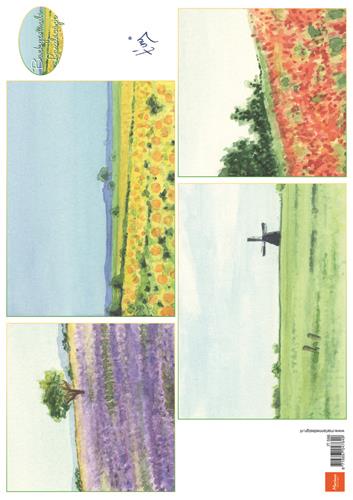 Tiny's background: landscape4 images
