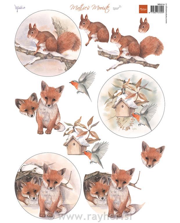 Decoupage slike: Vjeverica