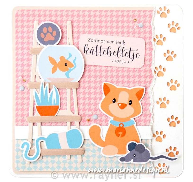 Izrez: Cats, set 25