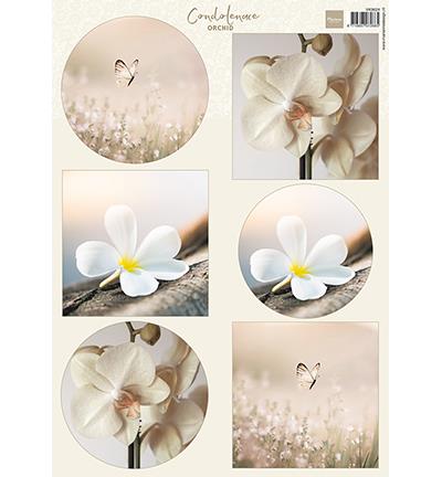 Decoupage slike: Condoleance - Orchid