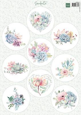 Decoupage slike: Succulents