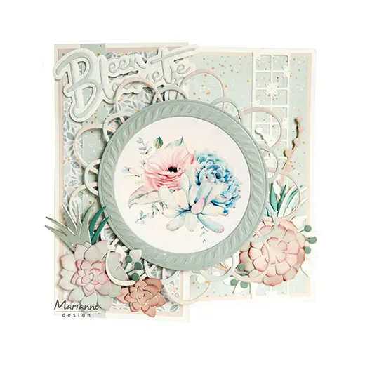 Decoupage slike: Succulents