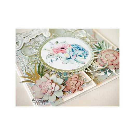 Decoupage slike: Succulents