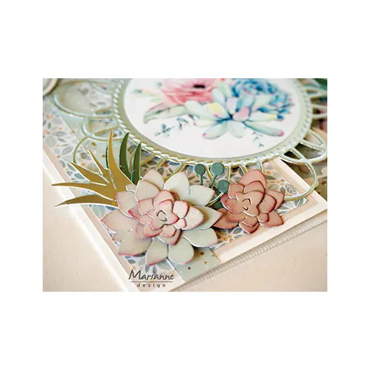 Decoupage slike: Succulents