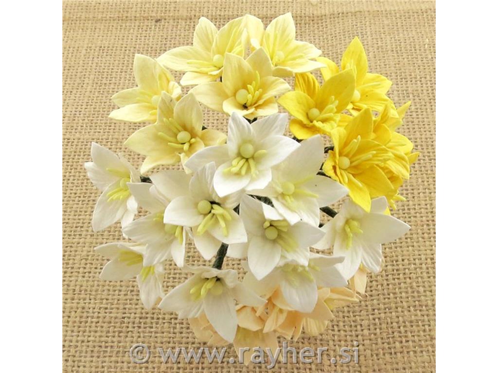 Ruže lily, bijele-žute, set 50