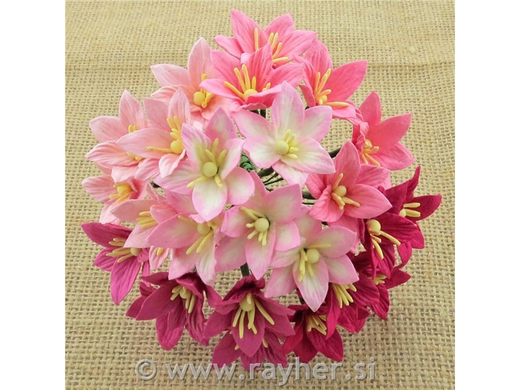 Ruže lily, pink, set 50