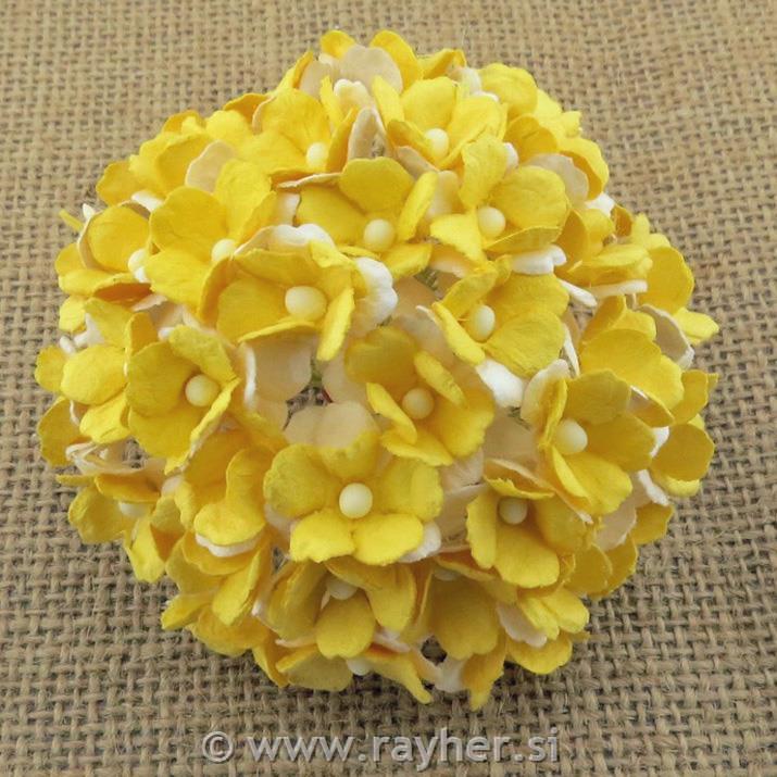 Two Tone Paper Flowers
