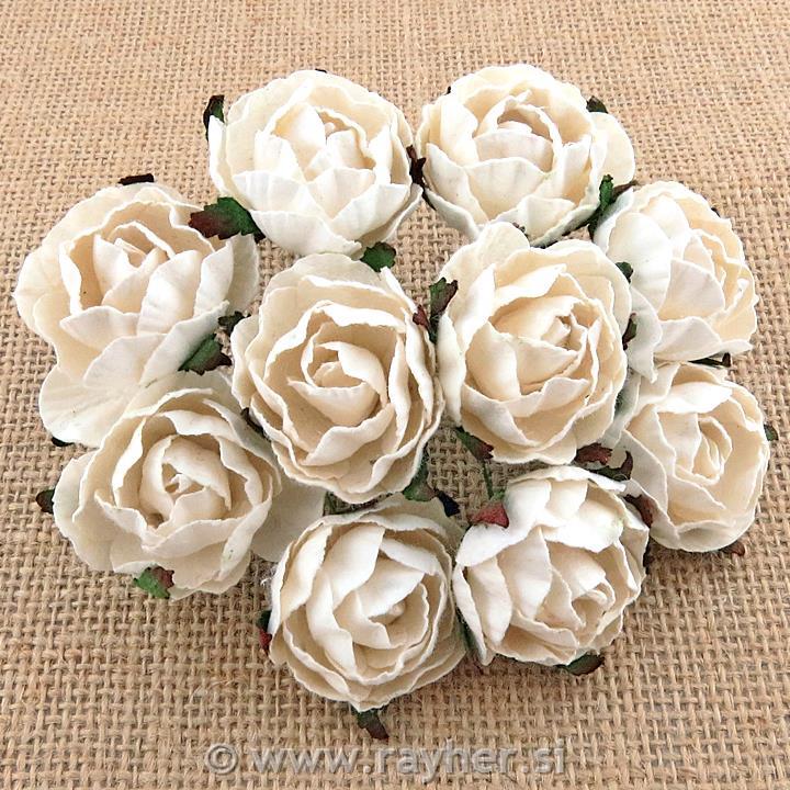 Ruže, otvorene, Bijele Peony, set 5
