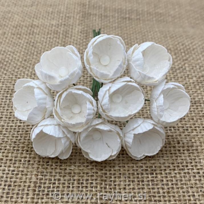 Paper Roses