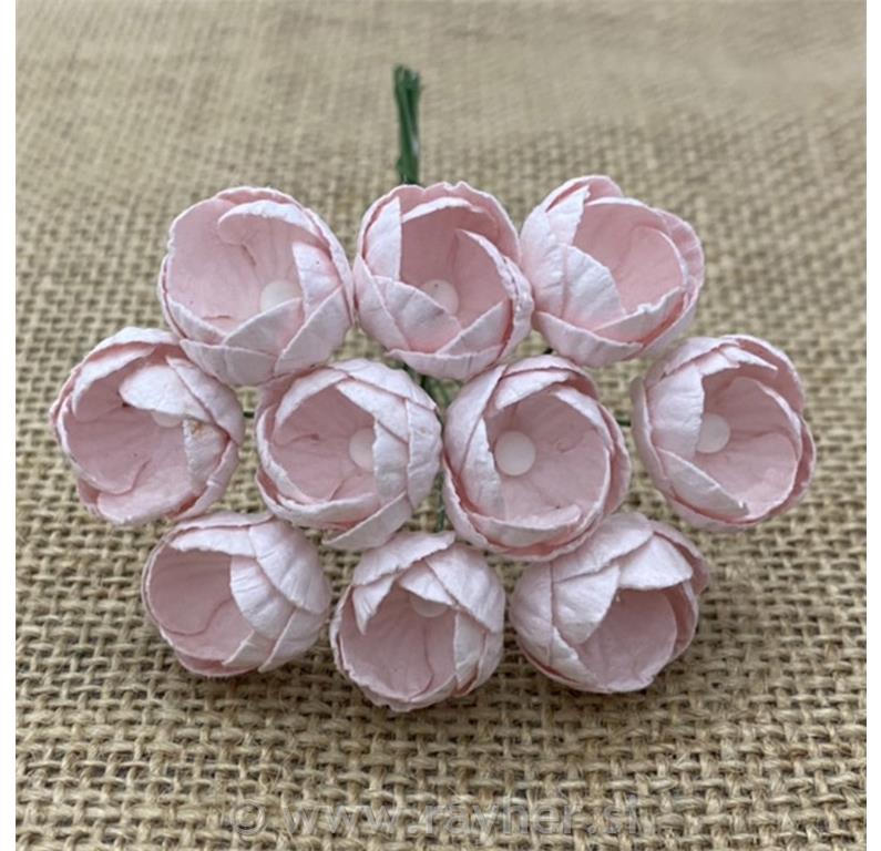Cvijet Buttercups, set 10, 25mm