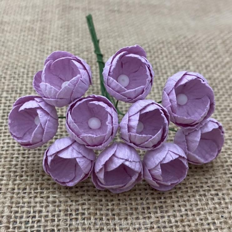 Cvijet Buttercups, set 10, 25mm
