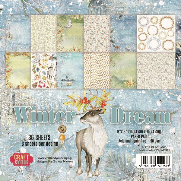 Papir set 15,2x15,2 cm Winter Dream
