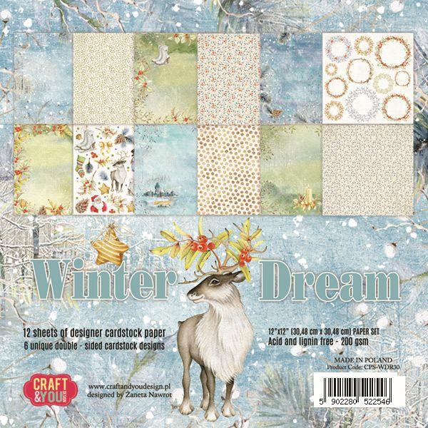 Papir set 30,5x30,5cm Winter Dream
