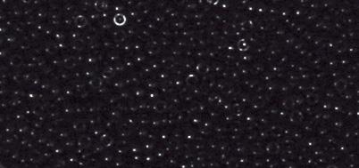 Premium perle opak 1,5MM