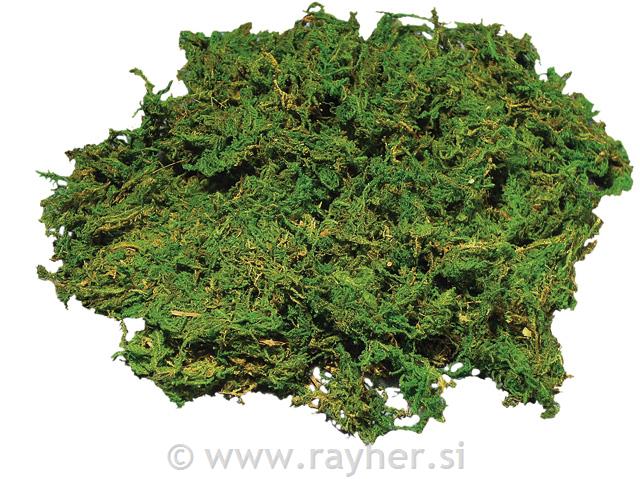 Ukrasna mahovina