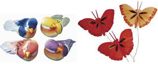Butterflies and birds