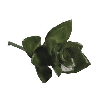 Ukrasno zelenilo mini "Haworthia", 5x3,5cm