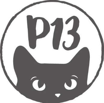 P13